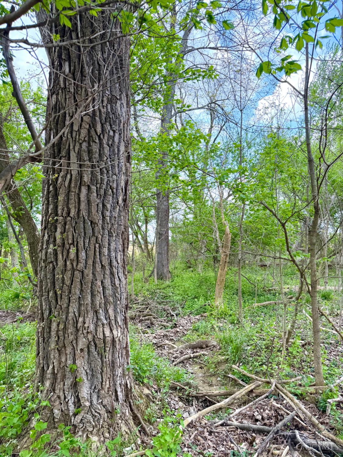 11732 Martin-Alexander Road Winchester, OH 45697 - Photo 86 of 89