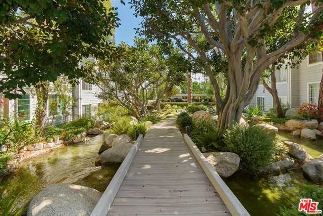 a view of flowing water with large tree