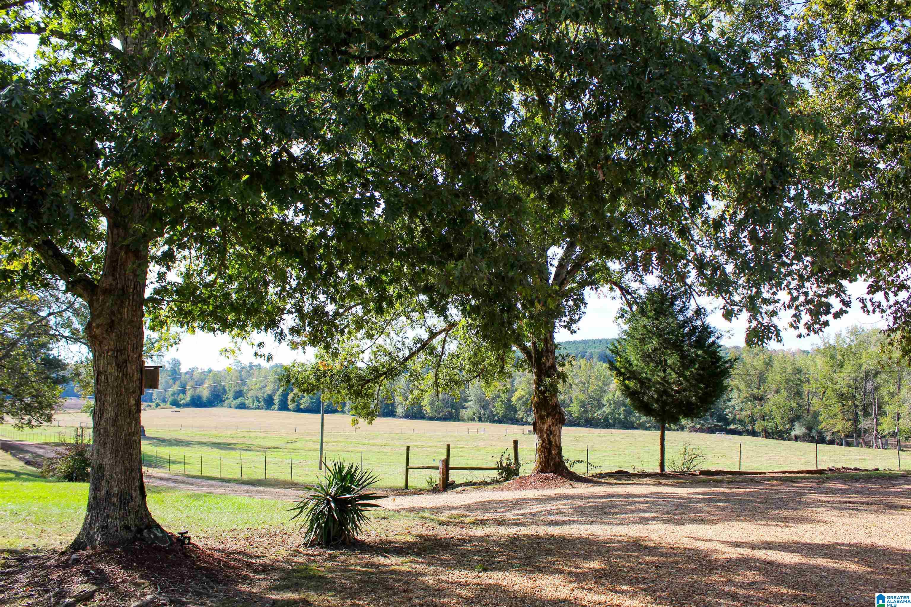 845 Turner Road Fayette, AL 35555 - Photo 51 of 61