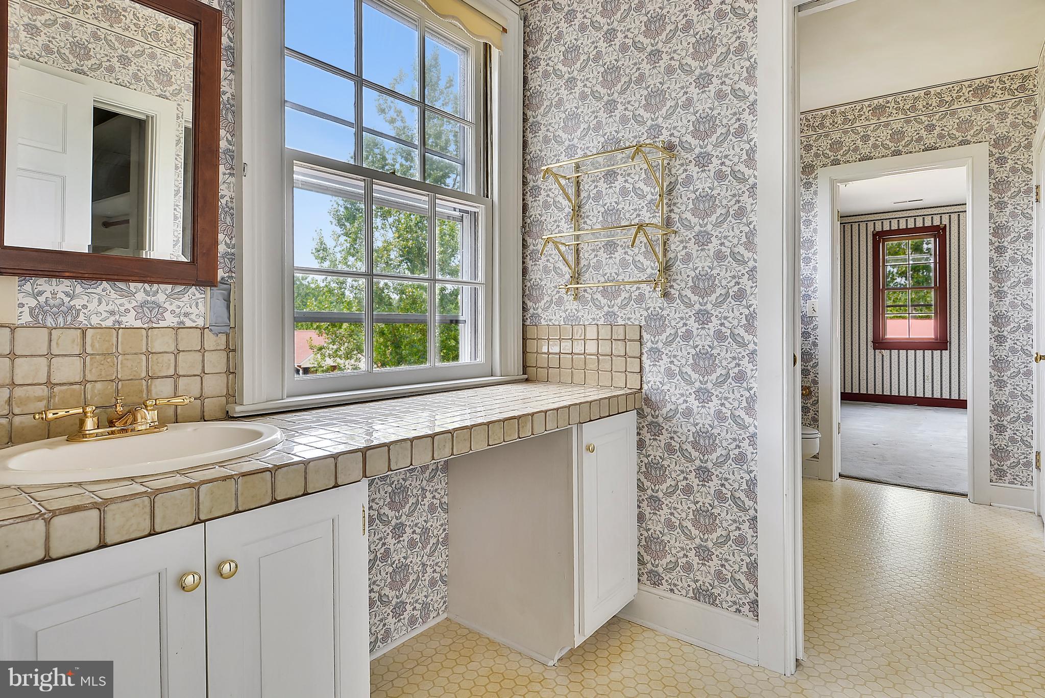 20852 St Louis Road Middleburg, VA 20117 - Photo 22 of 29 a bathroom with a sink and a large mirror