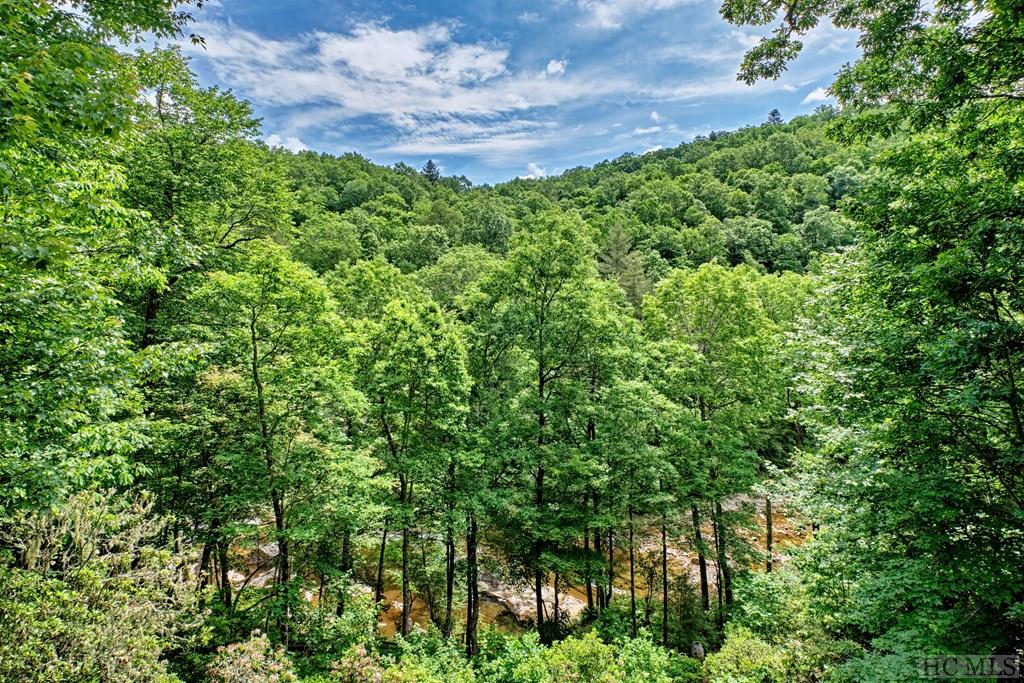 240 Mount Admire Road Cullowhee, NC 28723 - Photo 24 of 27 Gallery Image 24