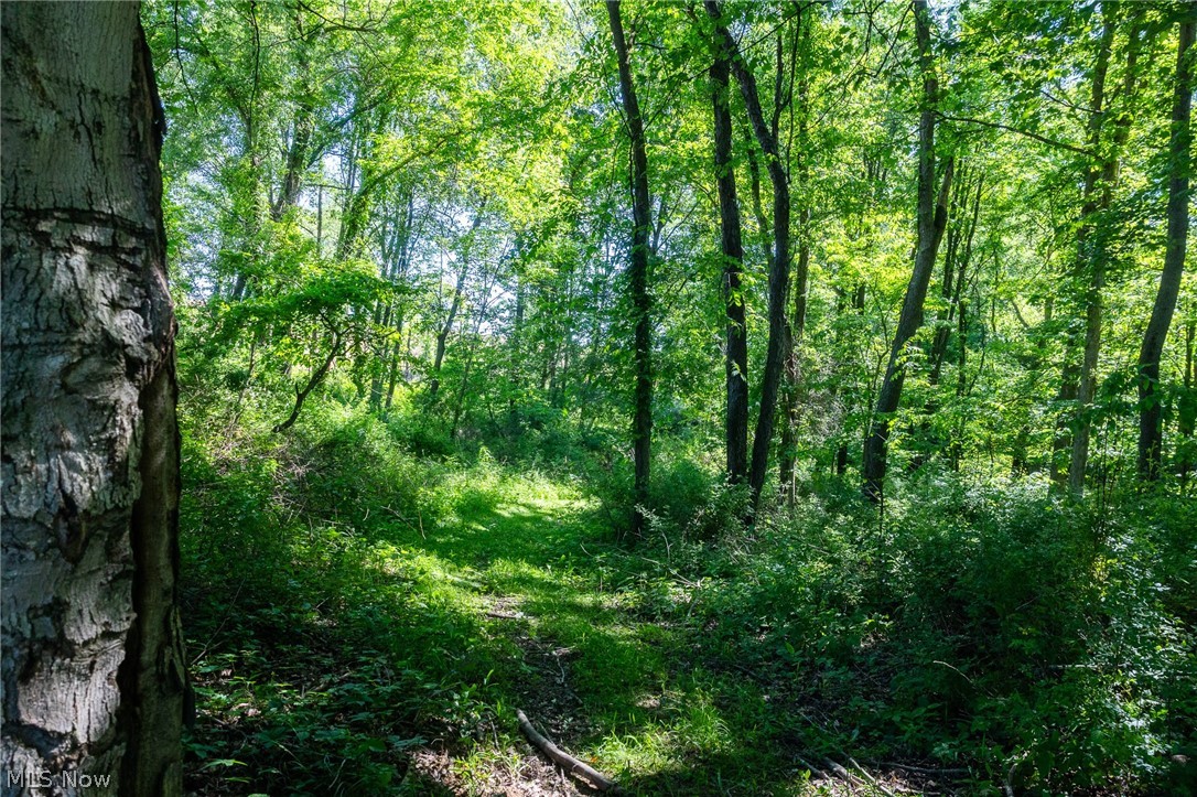 Ridge Road Minerva, OH 44657 - Photo 8 of 49