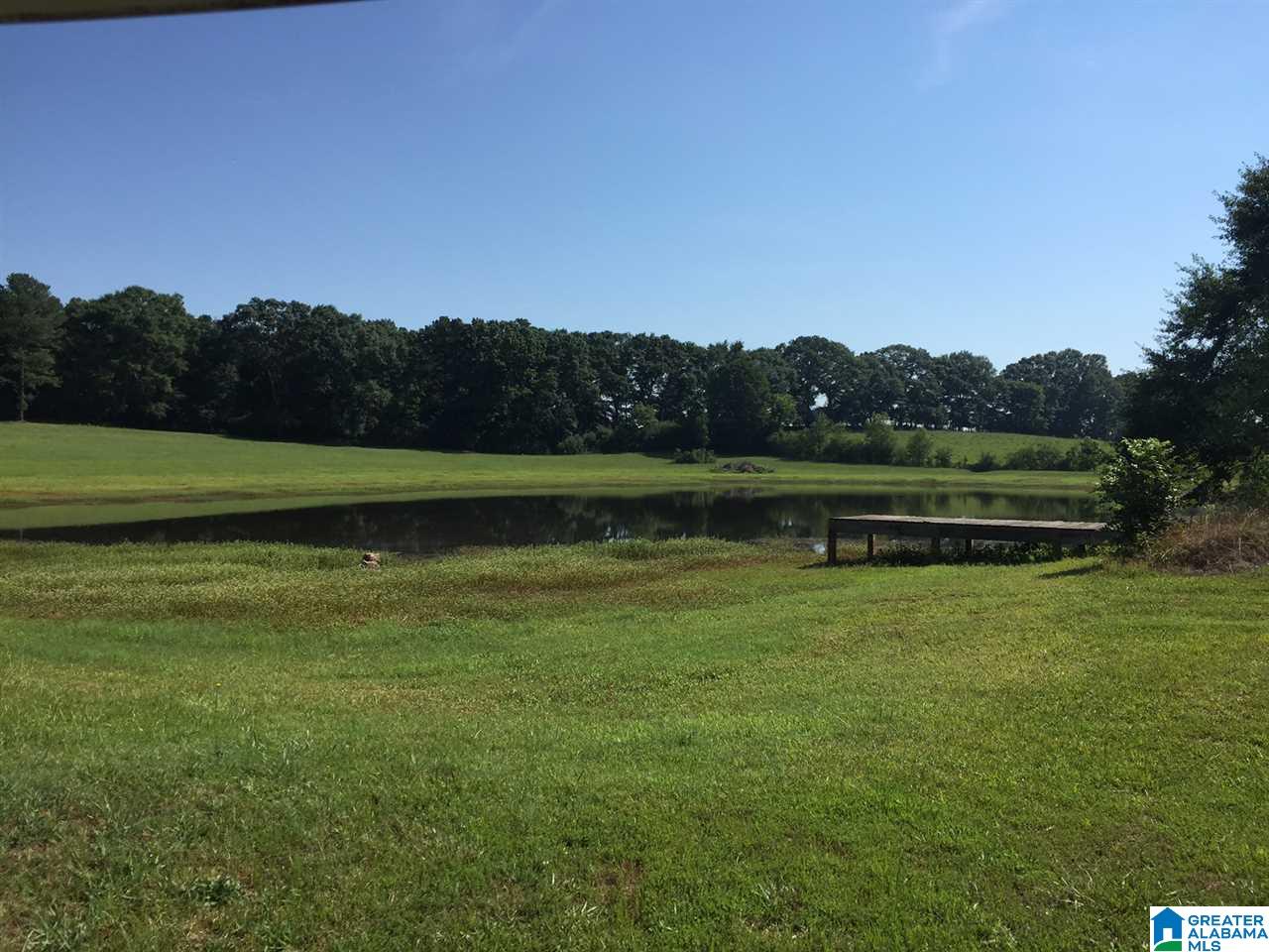 366 Parker Road Cropwell, AL 35054 - Photo 16 of 46