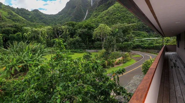 a view of a yard with plants