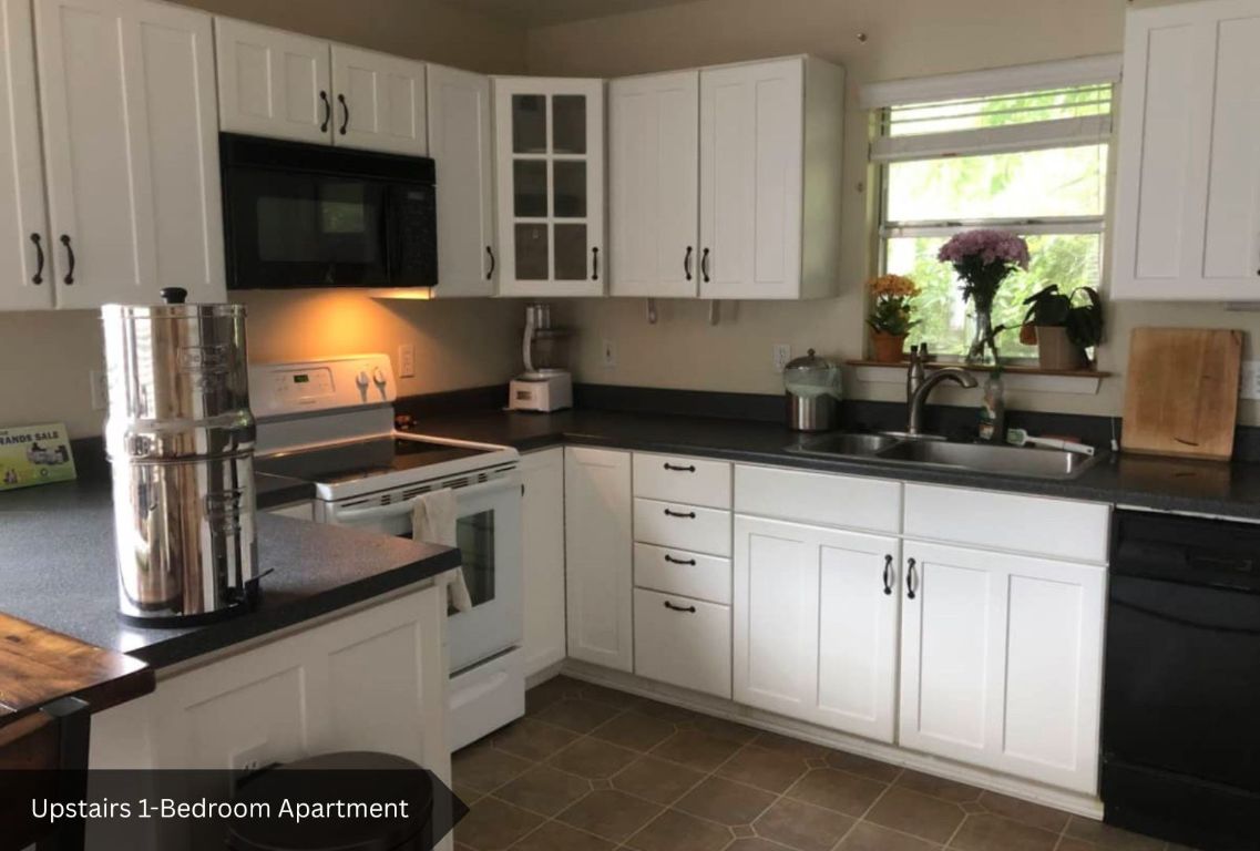 0 Rabb Road Austin, TX 78704 - Photo 35 of 39 a kitchen with stainless steel appliances white cabinets and a granite counter tops