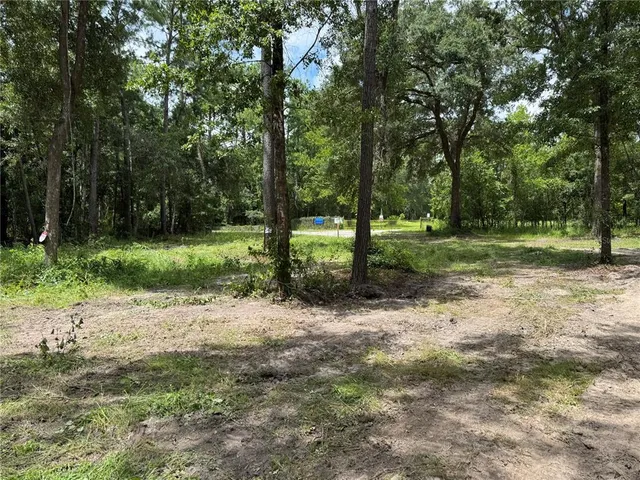 $35,000 | 15254 Northeast 144th Terrace, Waldo, FL 32694