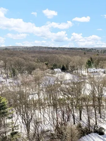 a view of ocean view with lots of trees