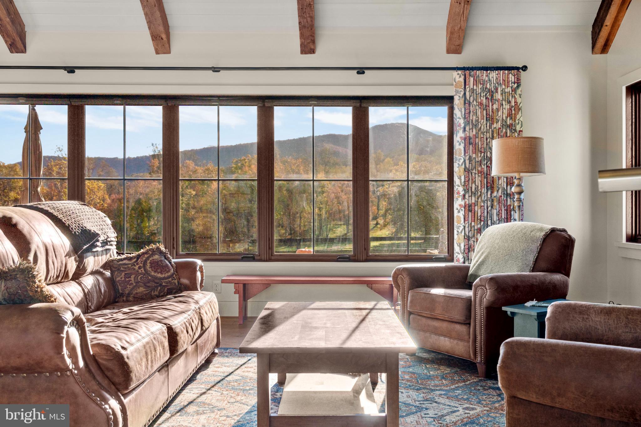 63 Riley Hollow Road Huntly, VA 22640 - Photo 11 of 92 a living room with furniture and a large window