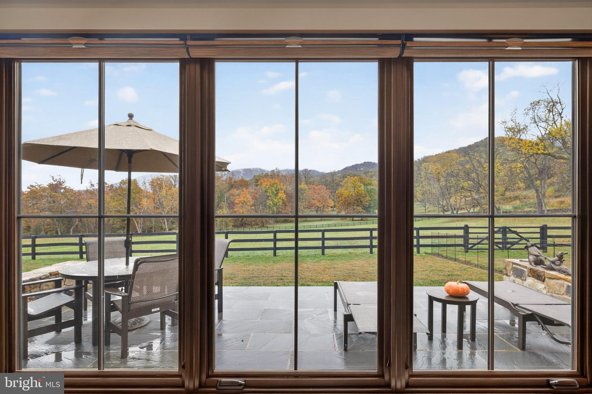 63 Riley Hollow Road Huntly, VA 22640 - Photo 12 of 92 Back terrace