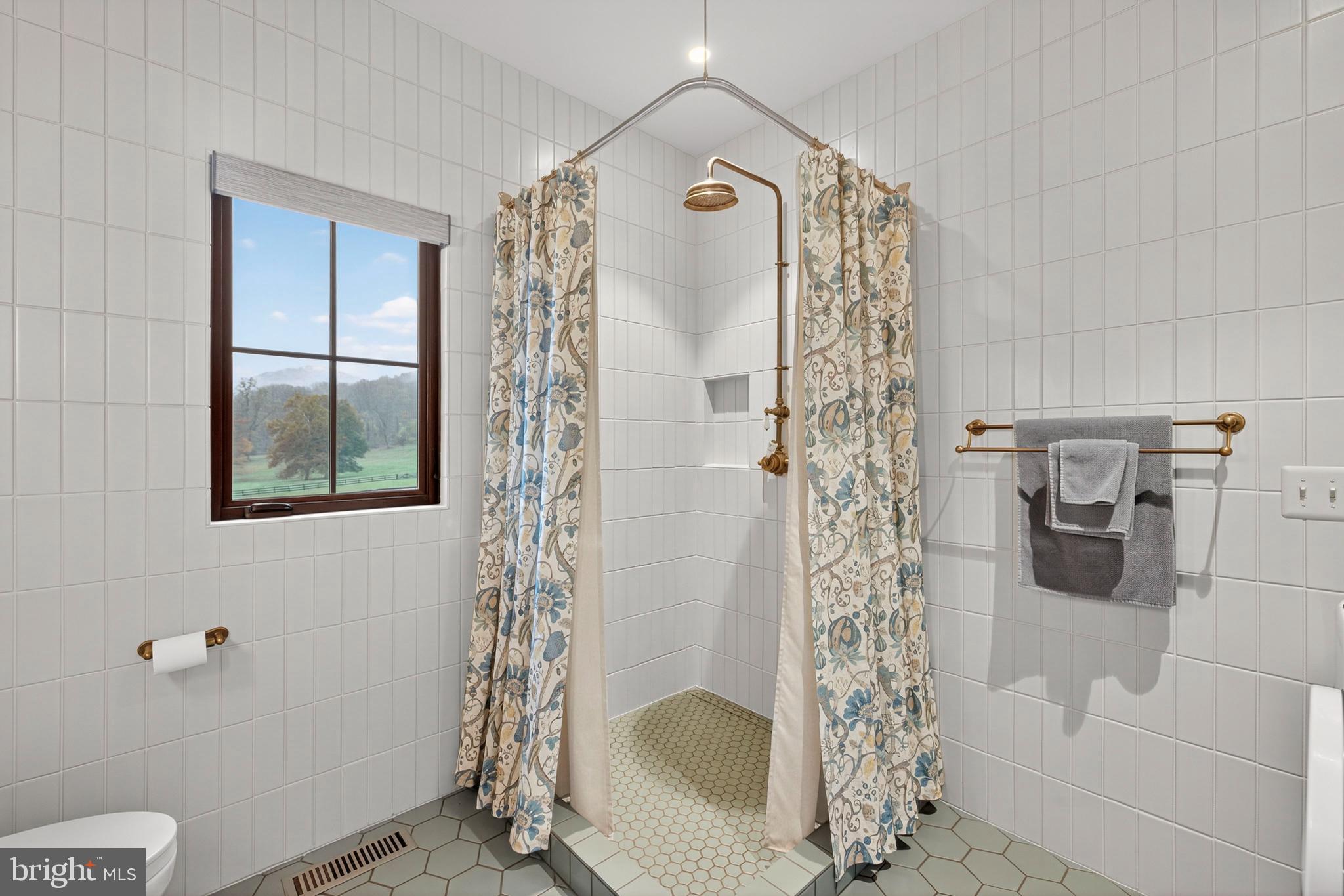 63 Riley Hollow Road Huntly, VA 22640 - Photo 26 of 92 a bathroom with a shower a toilet and a shower a mirror