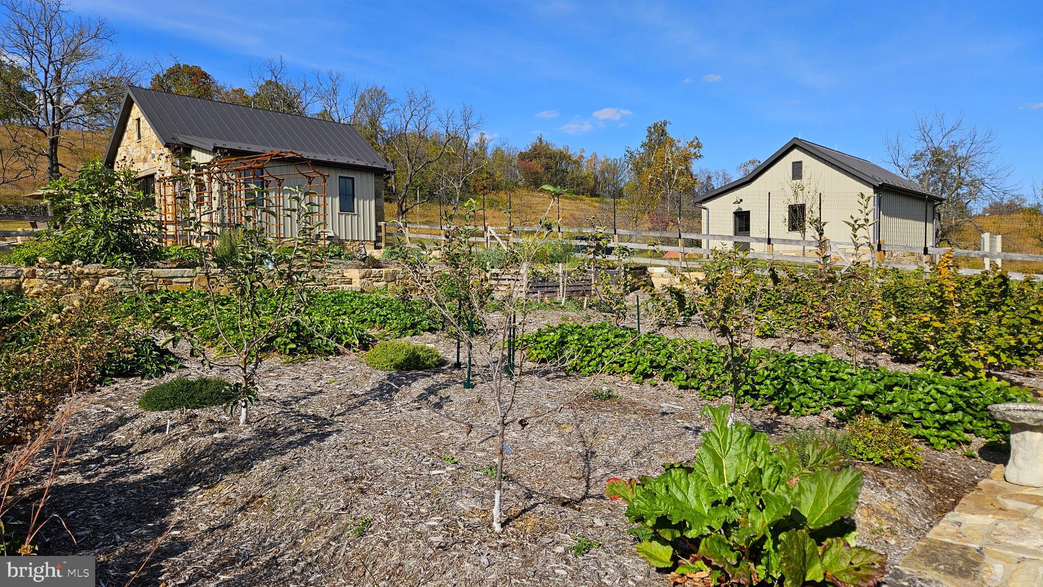 63 Riley Hollow Road Huntly, VA 22640 - Photo 38 of 92 a view of a house with a yard and potted plants