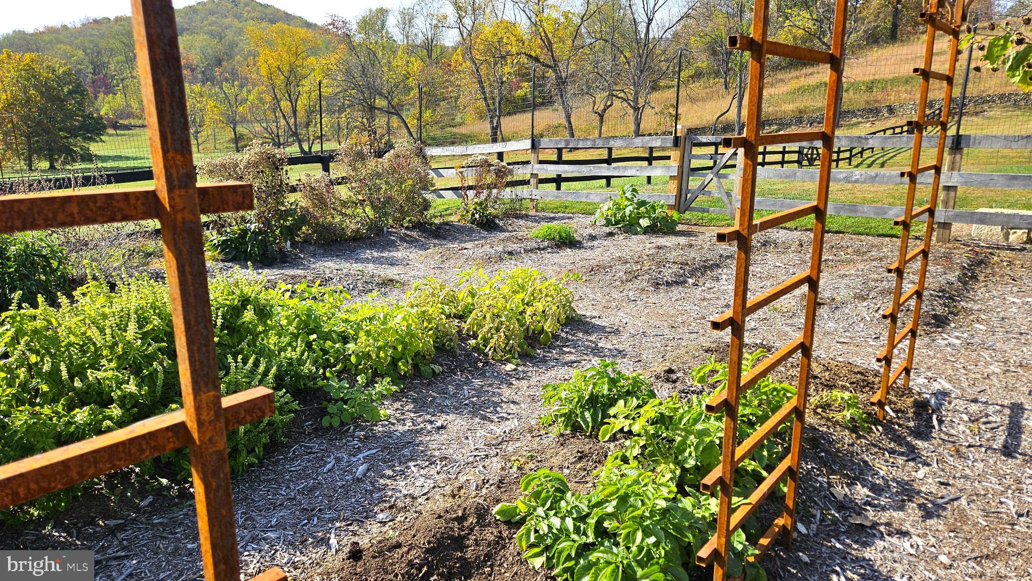 63 Riley Hollow Road Huntly, VA 22640 - Photo 40 of 92 Kitchen garden