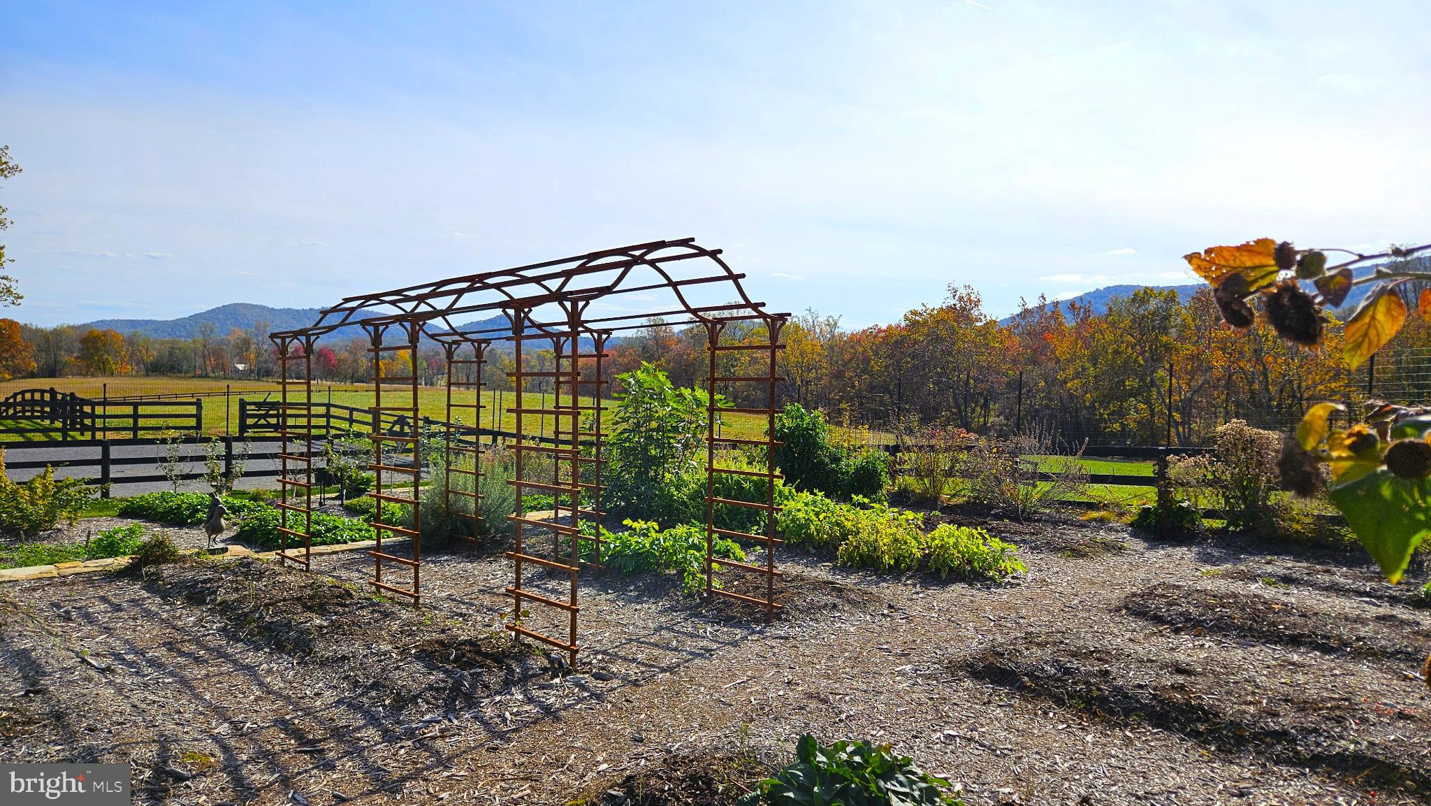 63 Riley Hollow Road Huntly, VA 22640 - Photo 41 of 92 Kitchen garden