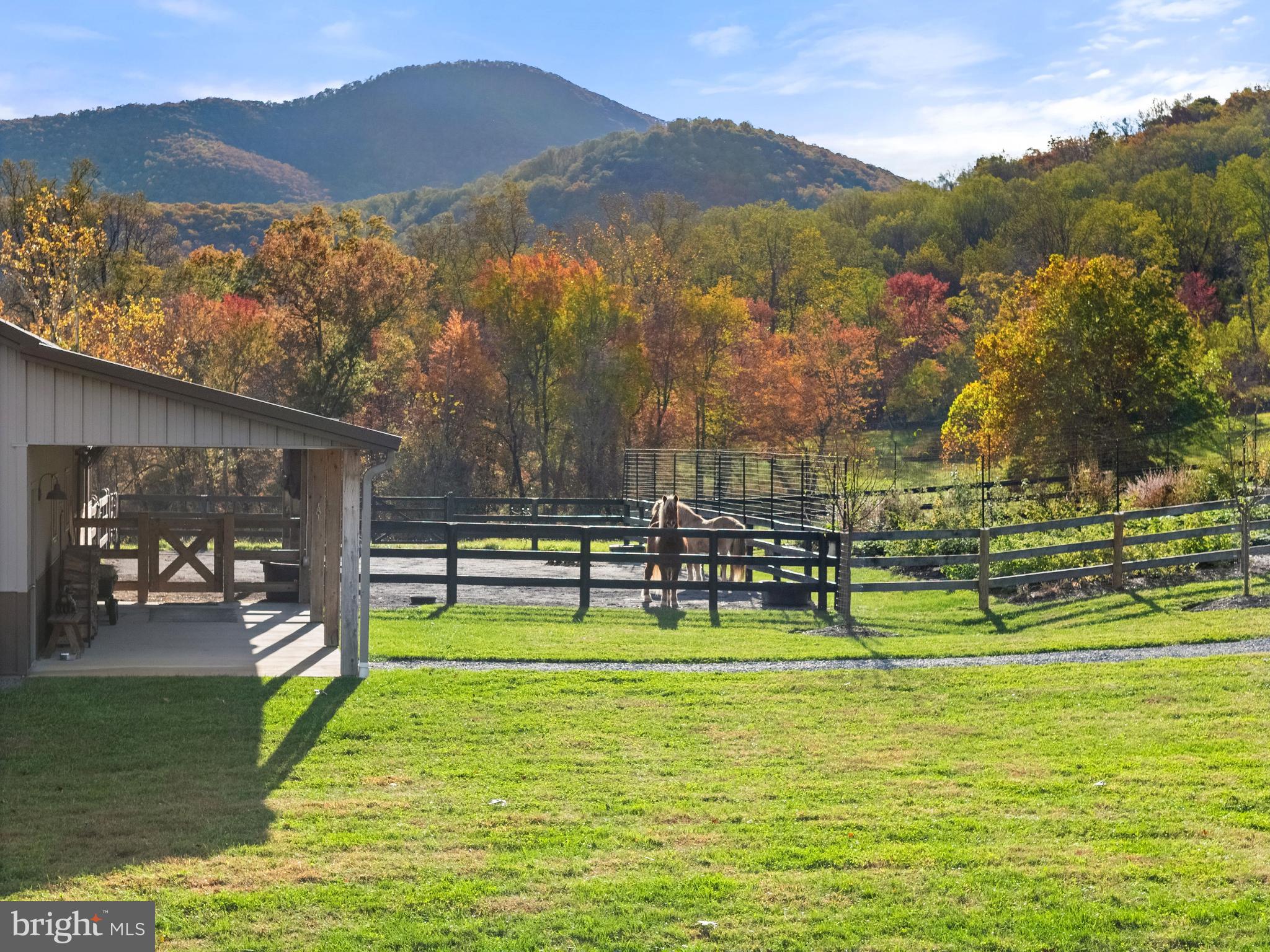 63 Riley Hollow Road Huntly, VA 22640 - Photo 54 of 92 a view of a swimming pool with a mountain