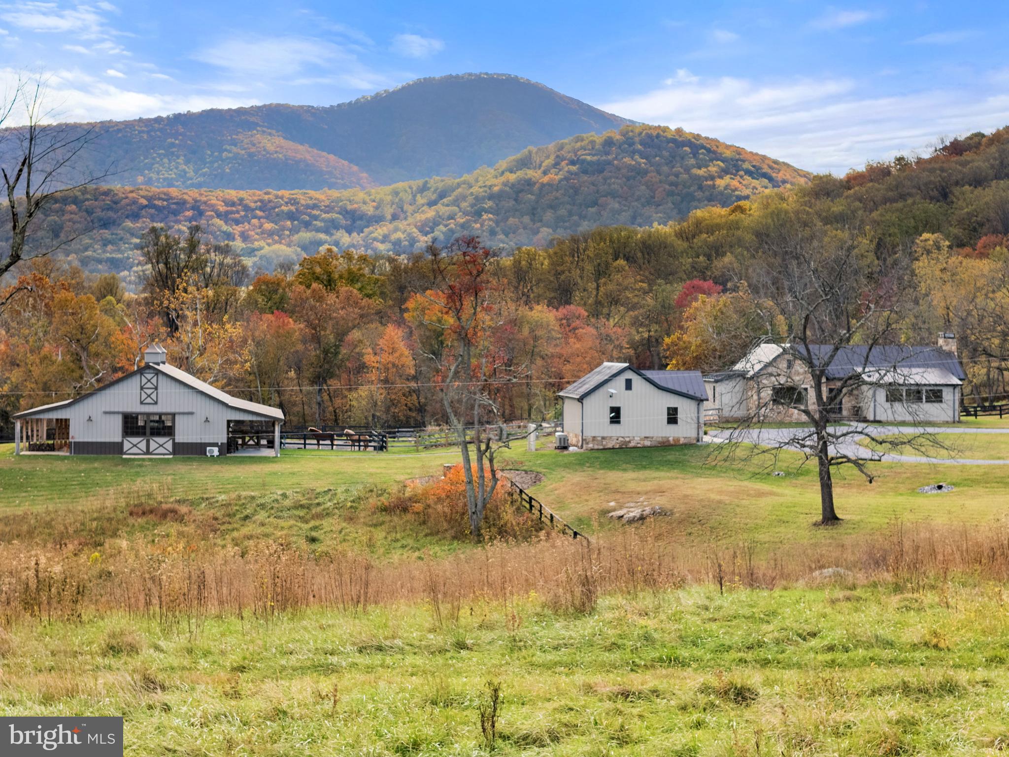 63 Riley Hollow Road Huntly, VA 22640 - Photo 55 of 92 a view of a house with a yard and a large pool