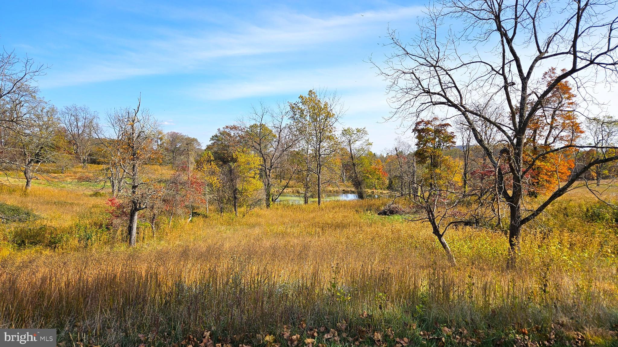 63 Riley Hollow Road Huntly, VA 22640 - Photo 60 of 92 Pond view