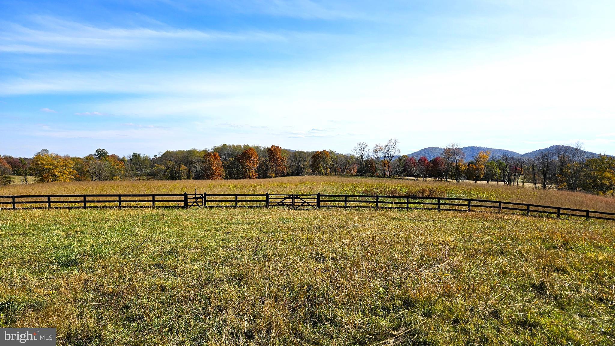 63 Riley Hollow Road Huntly, VA 22640 - Photo 62 of 92 a view of a lake with houses in the back
