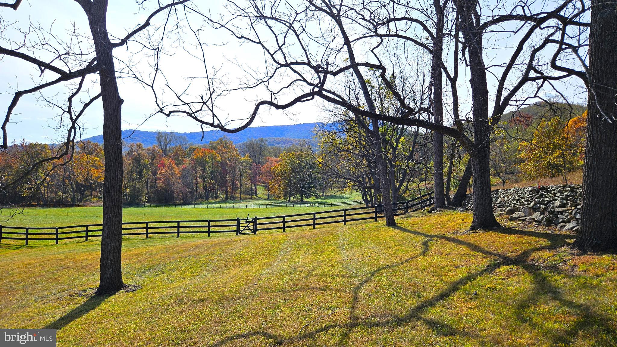 63 Riley Hollow Road Huntly, VA 22640 - Photo 65 of 92 Pasture view