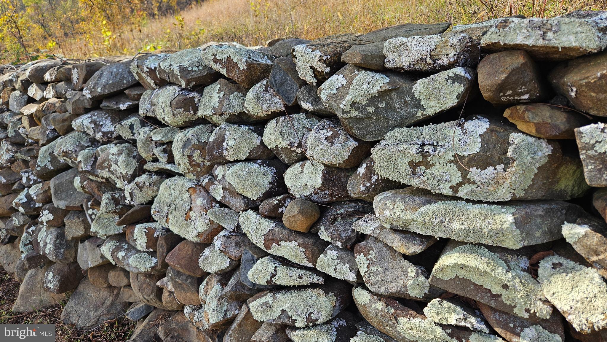 63 Riley Hollow Road Huntly, VA 22640 - Photo 66 of 92 a view of a couch with white walls