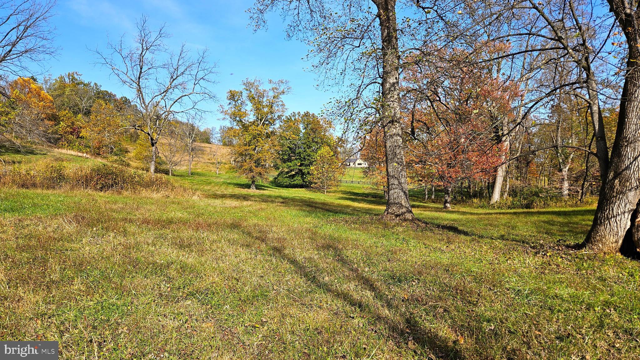 63 Riley Hollow Road Huntly, VA 22640 - Photo 70 of 92 a view of a yard with trees