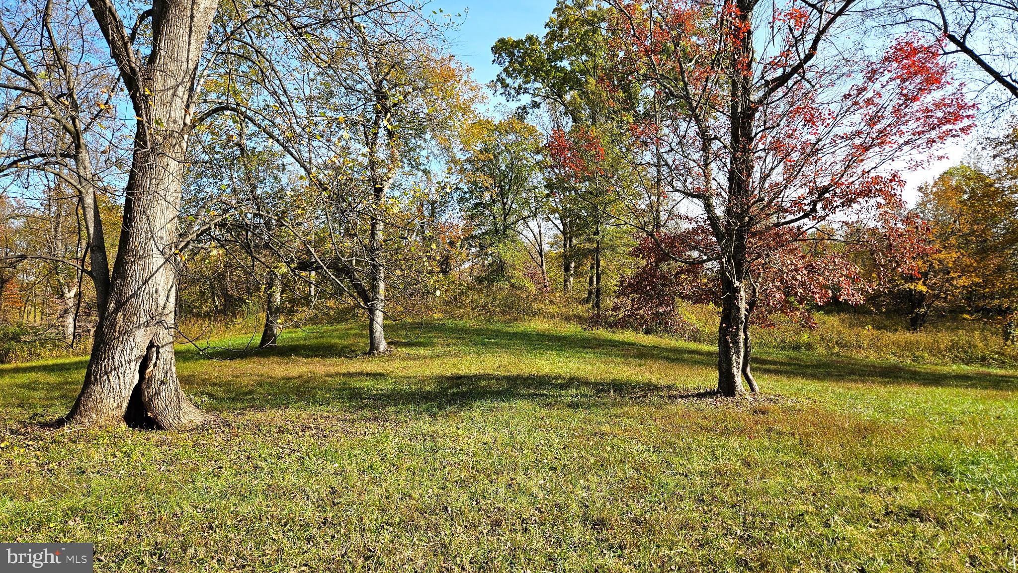 63 Riley Hollow Road Huntly, VA 22640 - Photo 71 of 92 Pasture view