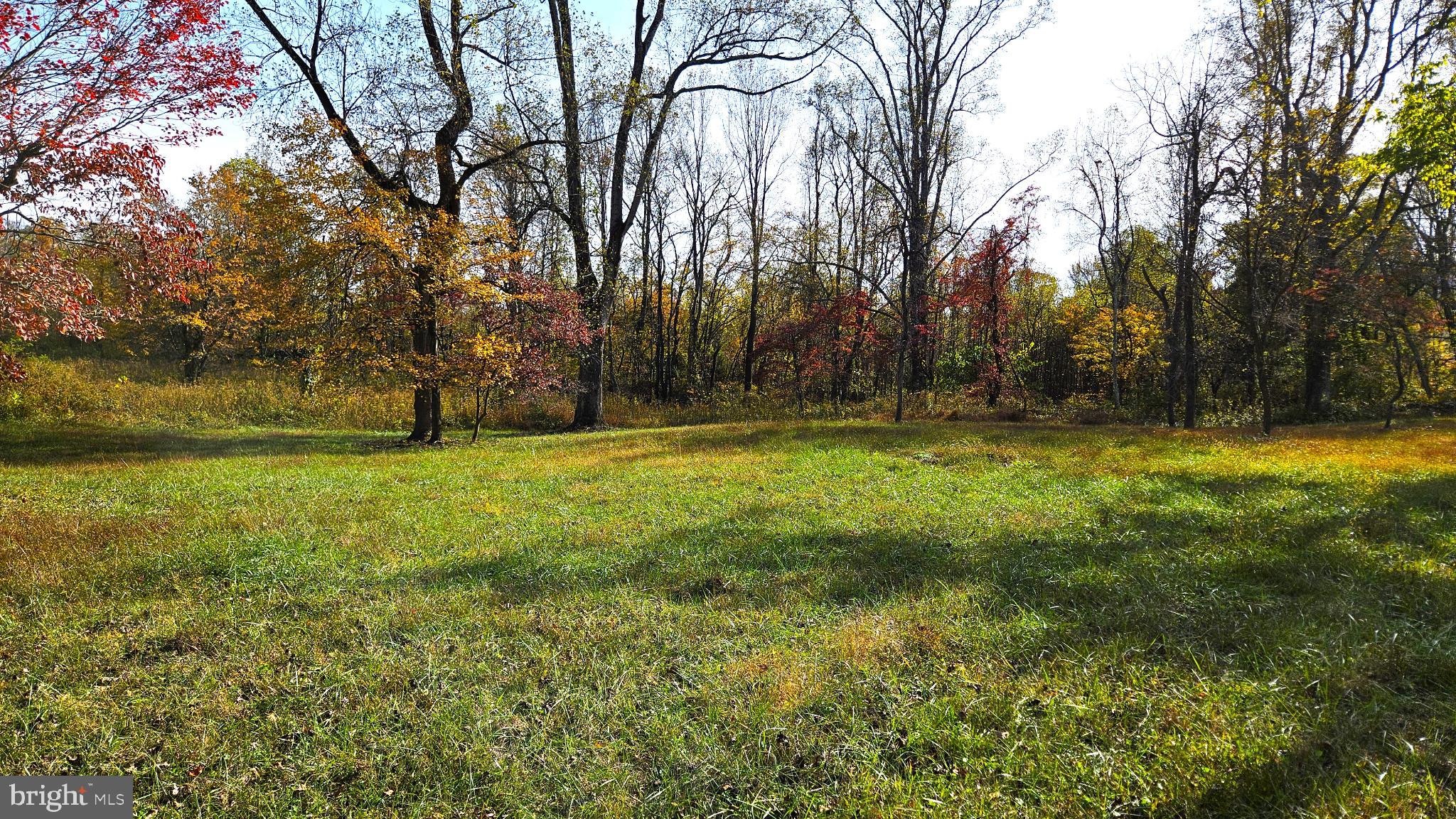 63 Riley Hollow Road Huntly, VA 22640 - Photo 72 of 92 a view of outdoor space with yard and trees