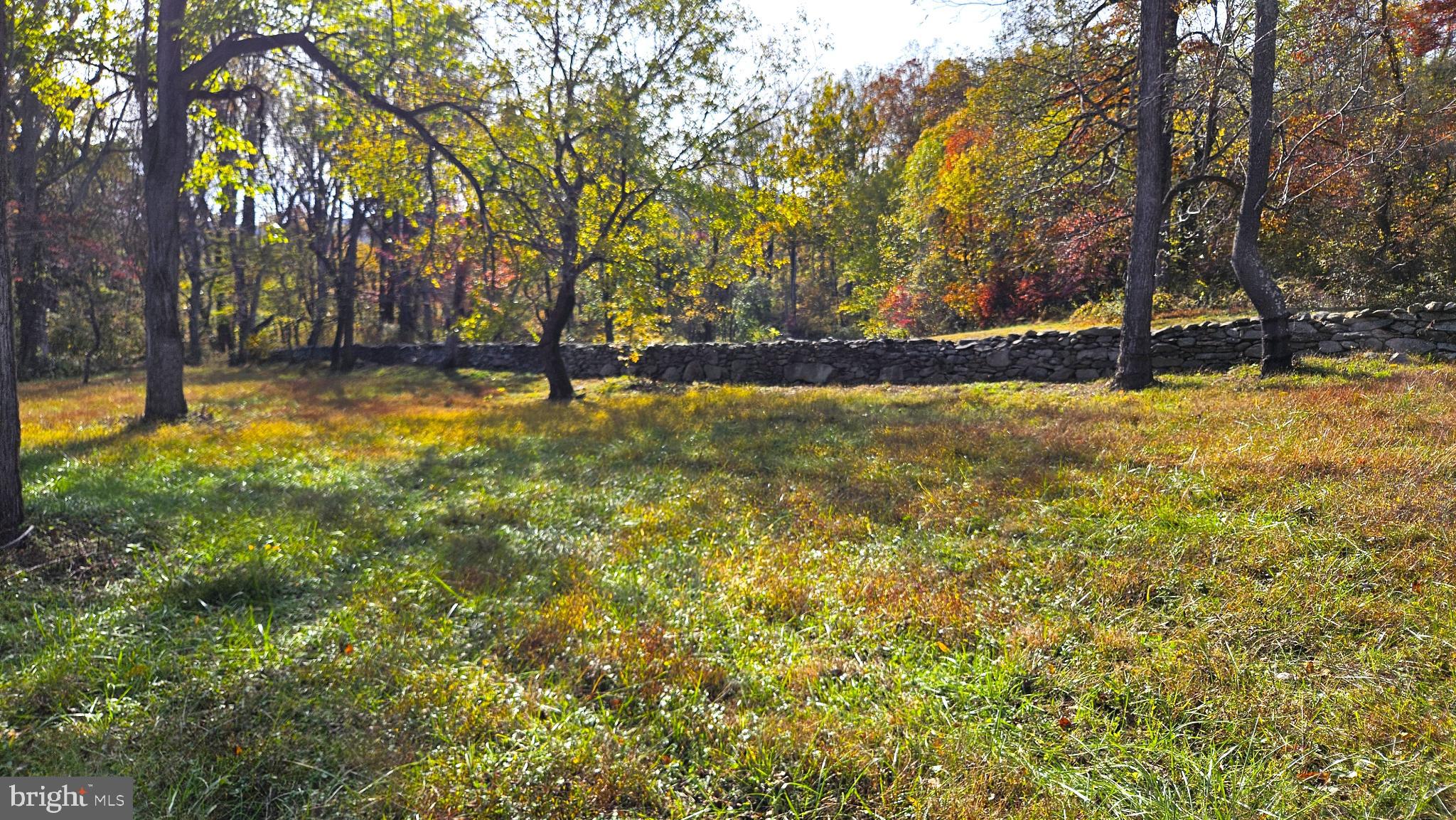 63 Riley Hollow Road Huntly, VA 22640 - Photo 73 of 92 Forest pasture view