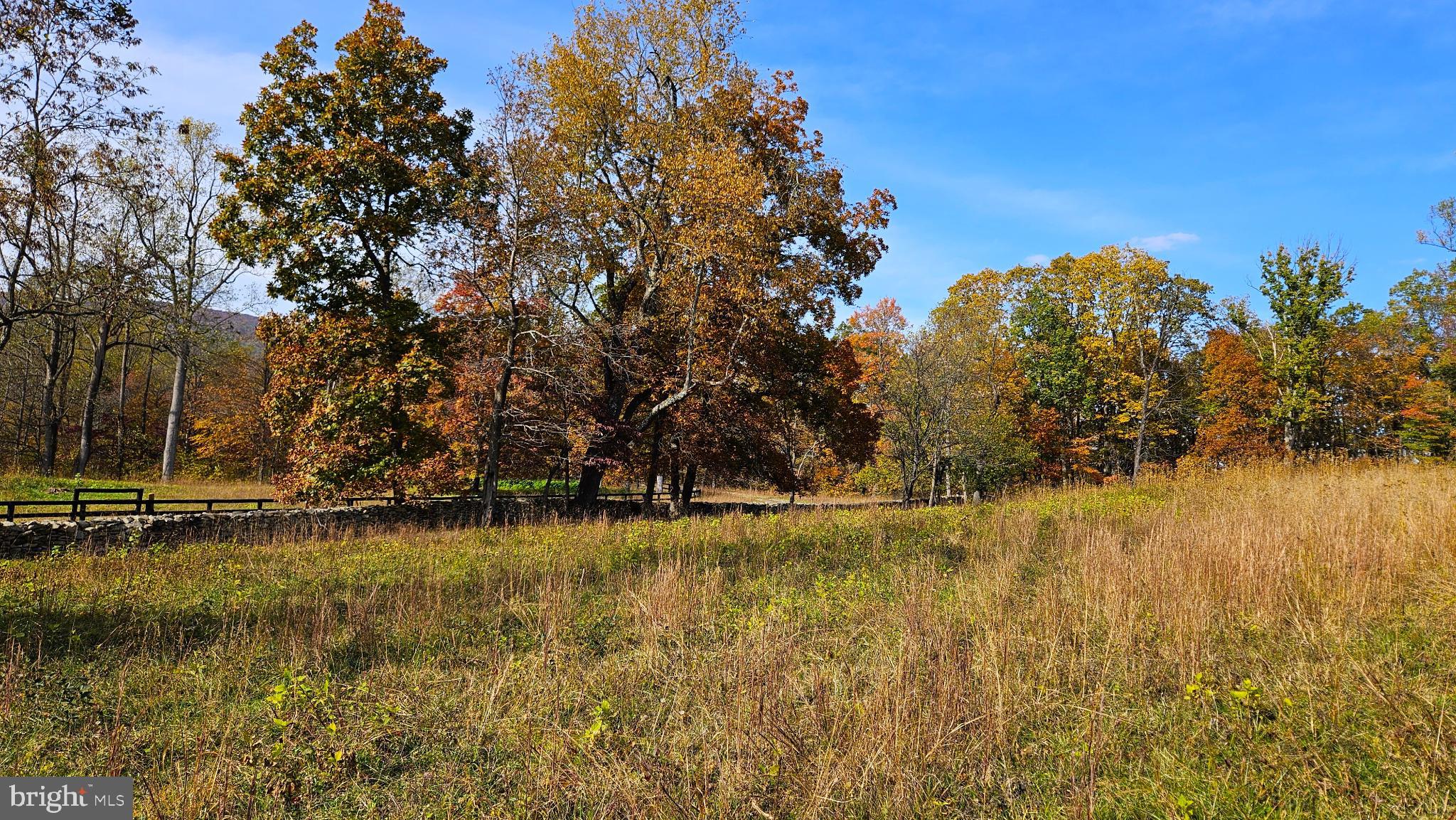 63 Riley Hollow Road Huntly, VA 22640 - Photo 74 of 92 a view of a lake with houses in the background