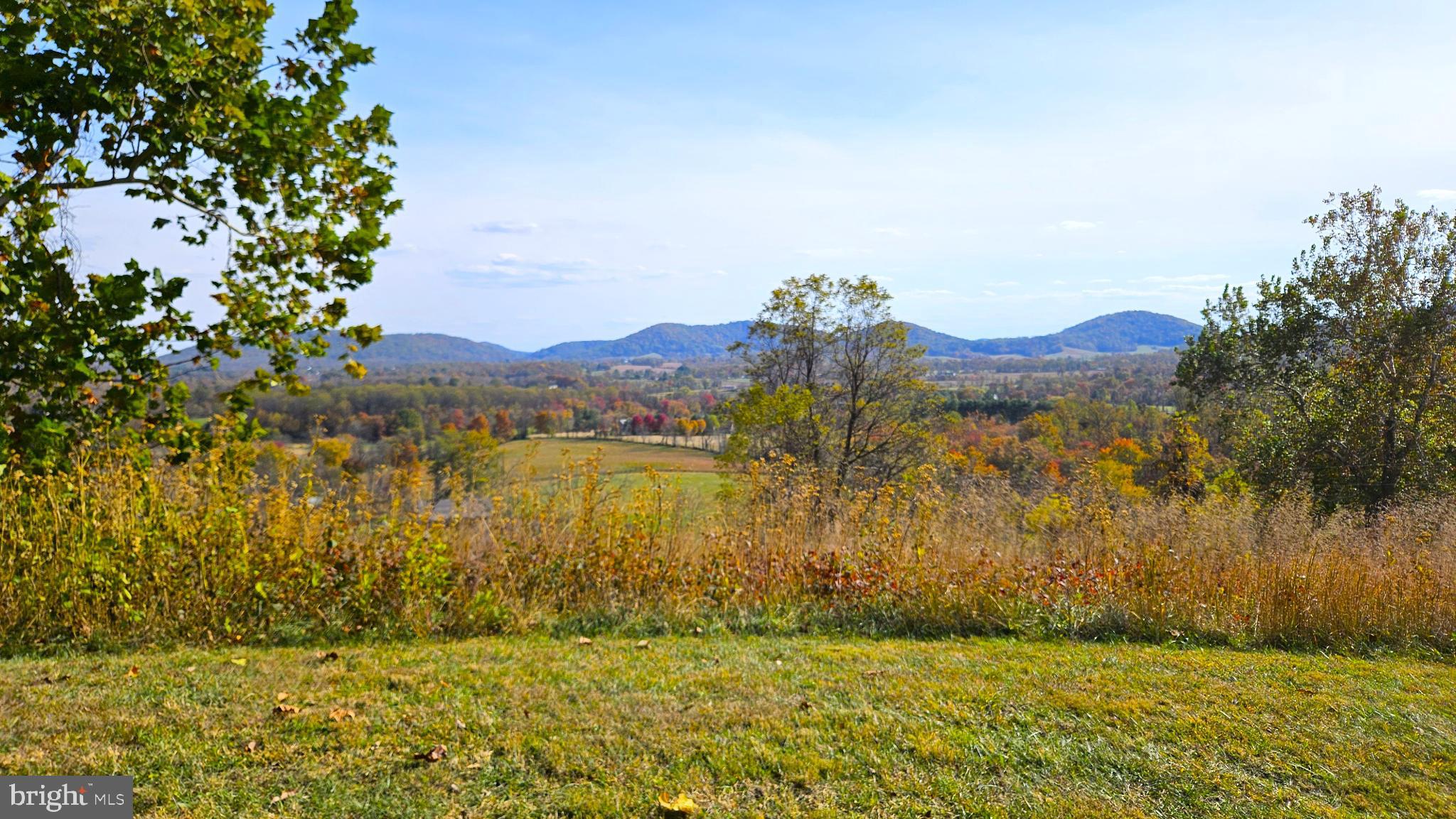 63 Riley Hollow Road Huntly, VA 22640 - Photo 75 of 92 Picnic Hill