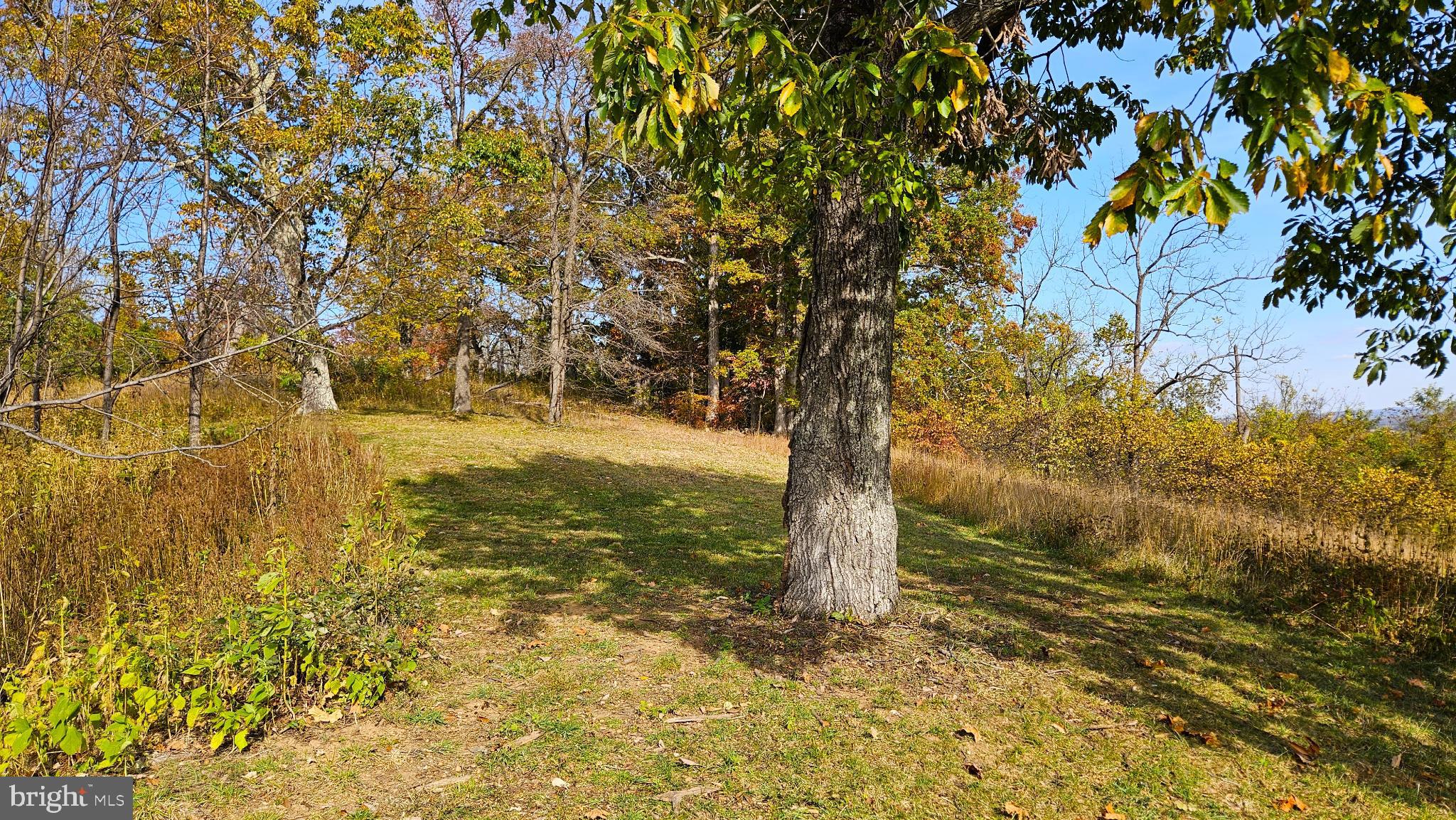 63 Riley Hollow Road Huntly, VA 22640 - Photo 76 of 92 Picnic Hill