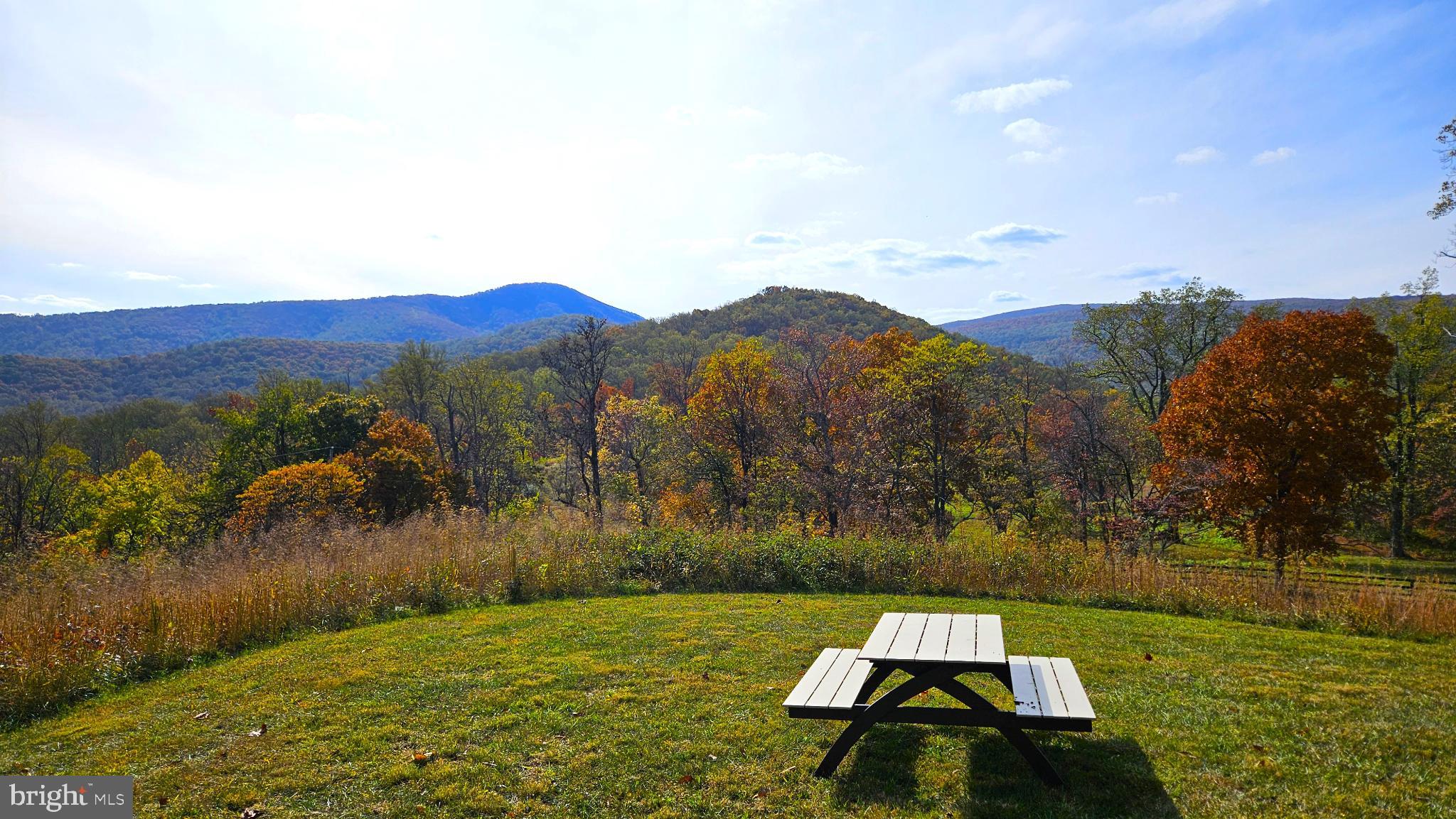 63 Riley Hollow Road Huntly, VA 22640 - Photo 77 of 92 a view of outdoor space and mountain view