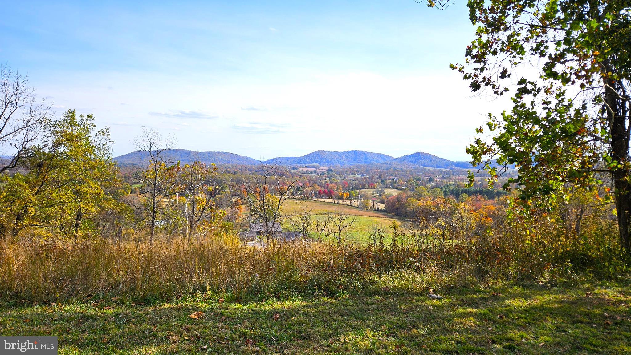 63 Riley Hollow Road Huntly, VA 22640 - Photo 78 of 92 Picnic Hill view