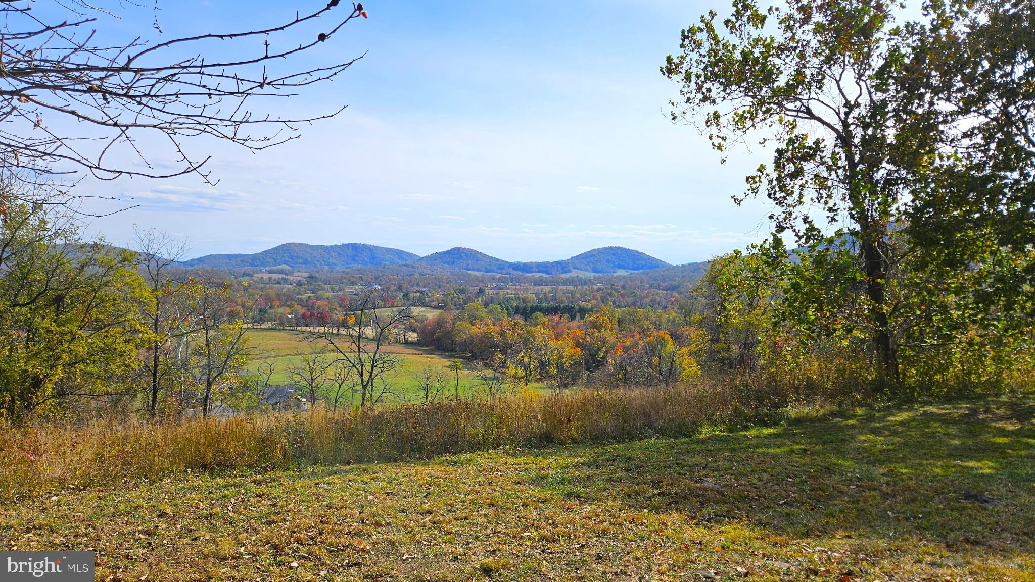 63 Riley Hollow Road Huntly, VA 22640 - Photo 79 of 92 Picnic Hill view