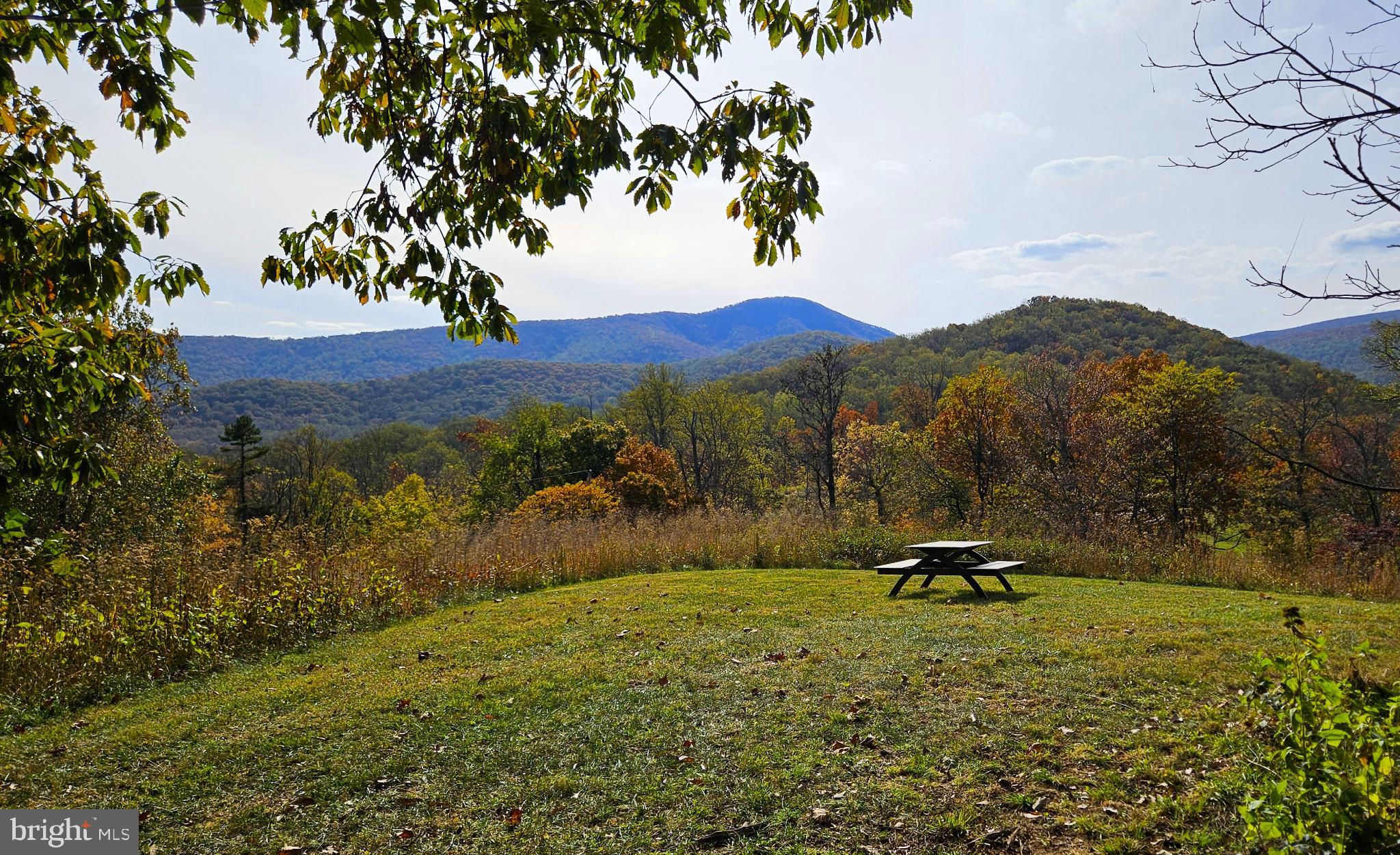 63 Riley Hollow Road Huntly, VA 22640 - Photo 80 of 92 a view of outdoor space with mountain view