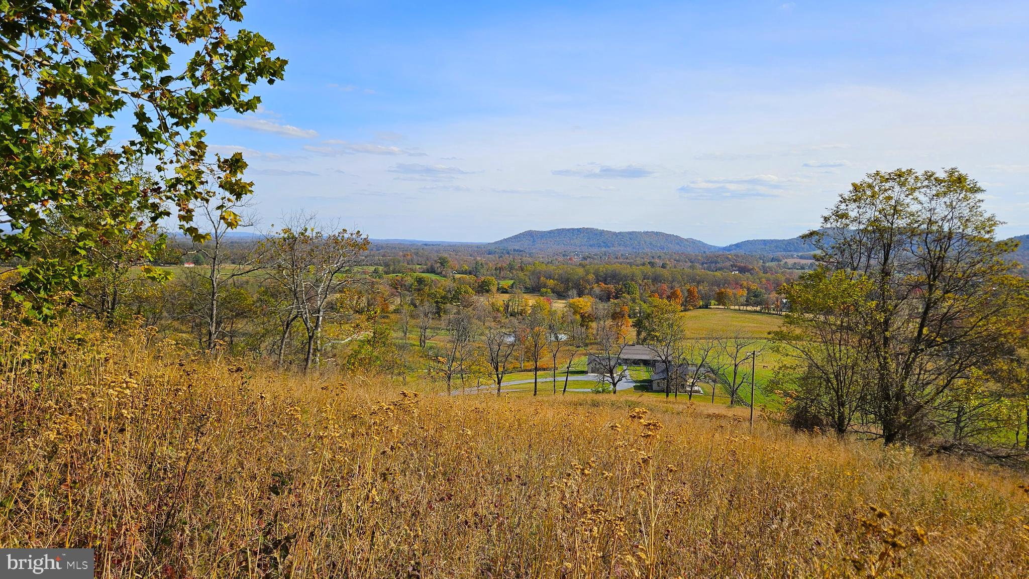 63 Riley Hollow Road Huntly, VA 22640 - Photo 81 of 92 a view of lake with mountain