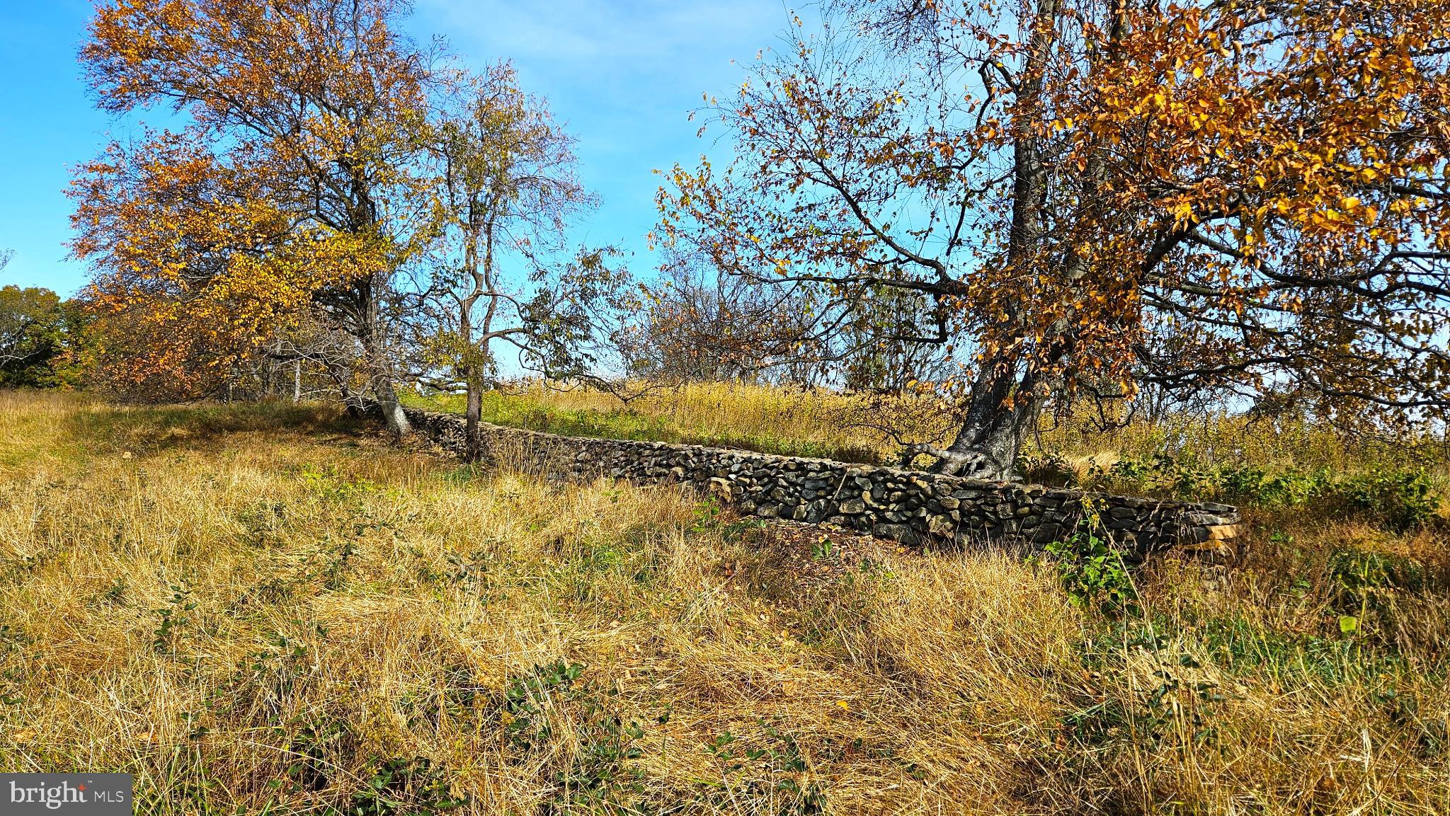 63 Riley Hollow Road Huntly, VA 22640 - Photo 82 of 92 Entry to main house site