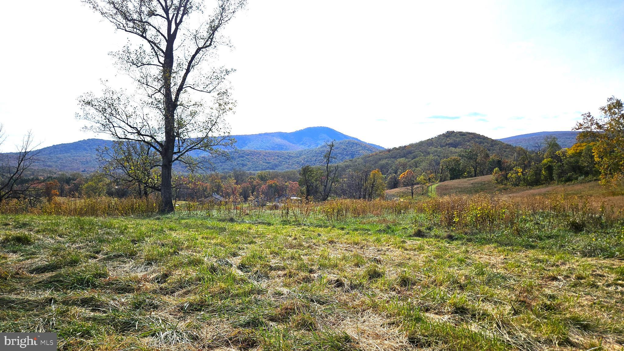 63 Riley Hollow Road Huntly, VA 22640 - Photo 83 of 92 House site for future home (if desired)