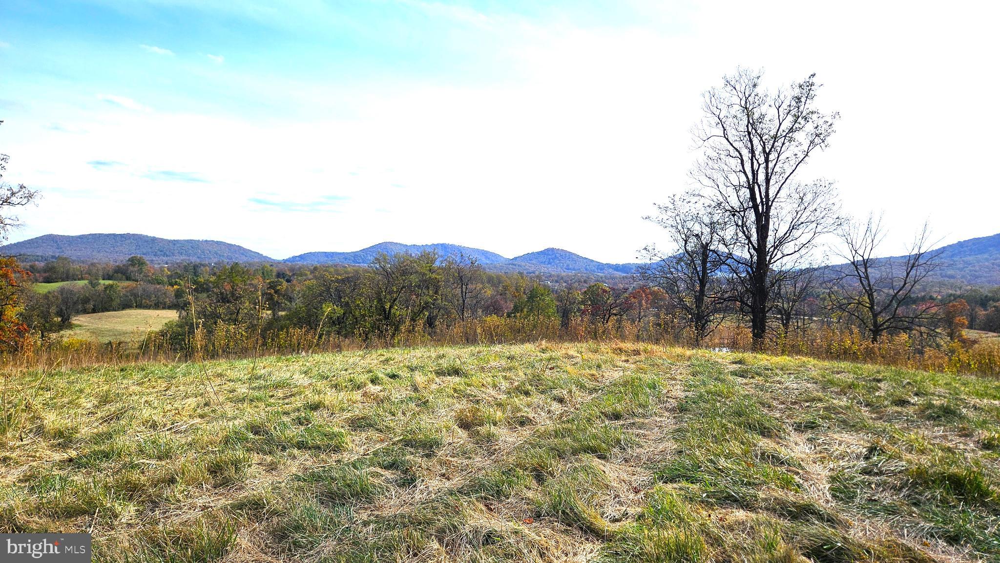 63 Riley Hollow Road Huntly, VA 22640 - Photo 85 of 92 a view of lake with mountain