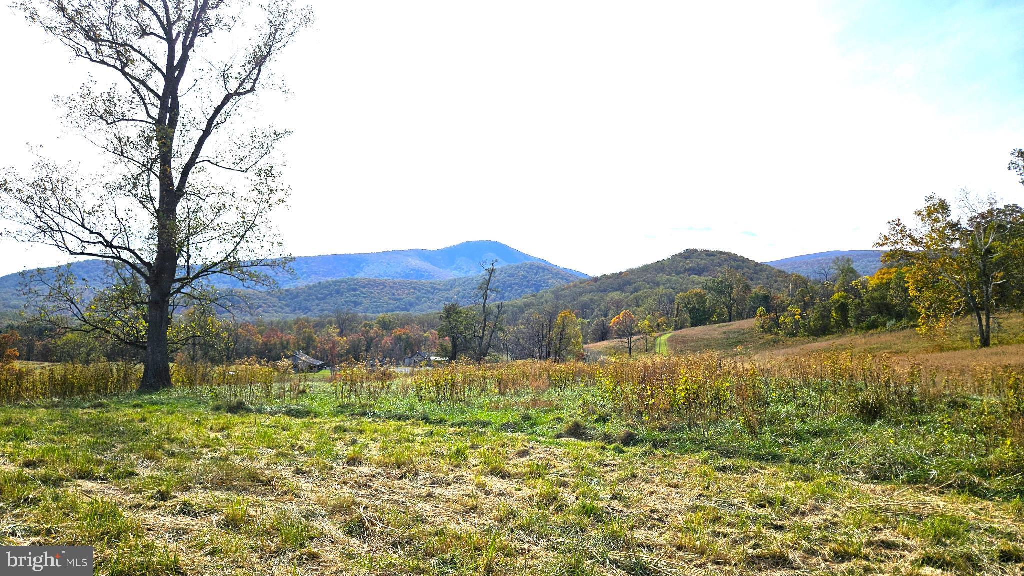 63 Riley Hollow Road Huntly, VA 22640 - Photo 86 of 92 Future house site