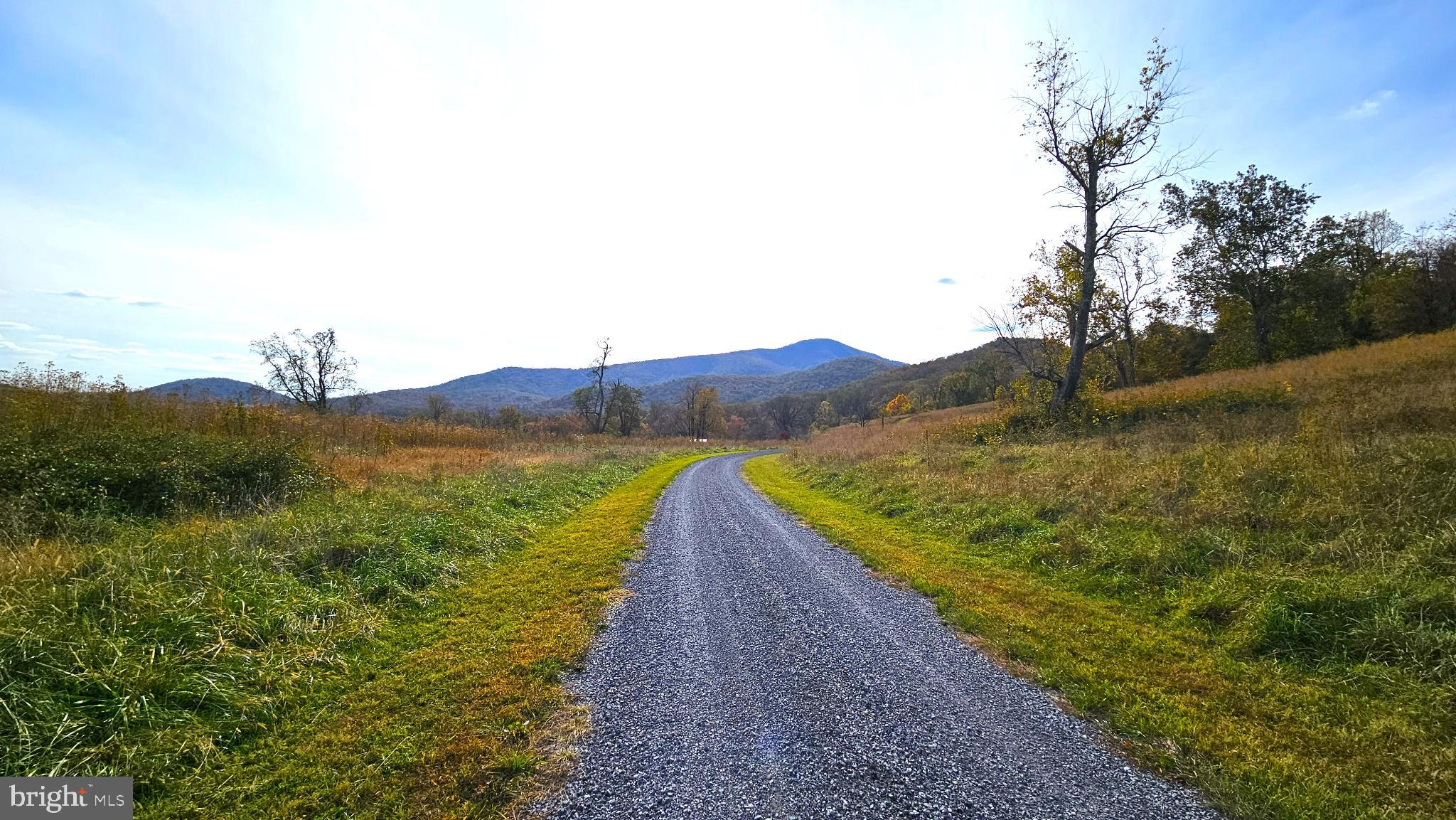 63 Riley Hollow Road Huntly, VA 22640 - Photo 87 of 92 a view of a pathway with a garden