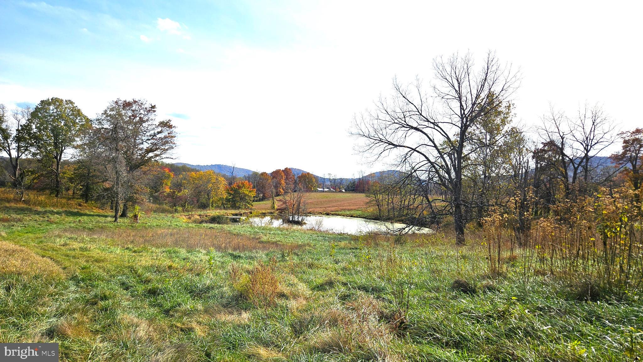 63 Riley Hollow Road Huntly, VA 22640 - Photo 88 of 92 a view of an outdoor space and a yard