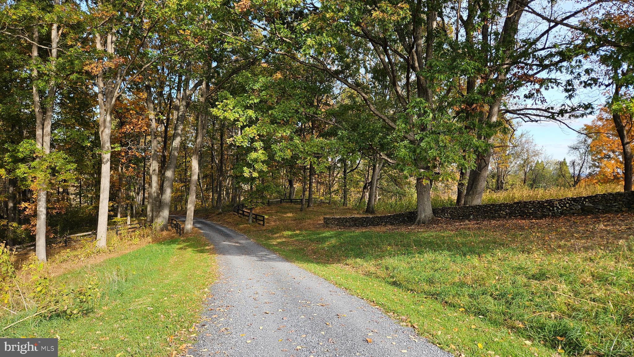 63 Riley Hollow Road Huntly, VA 22640 - Photo 89 of 92 a view of swimming pool with an outdoor space