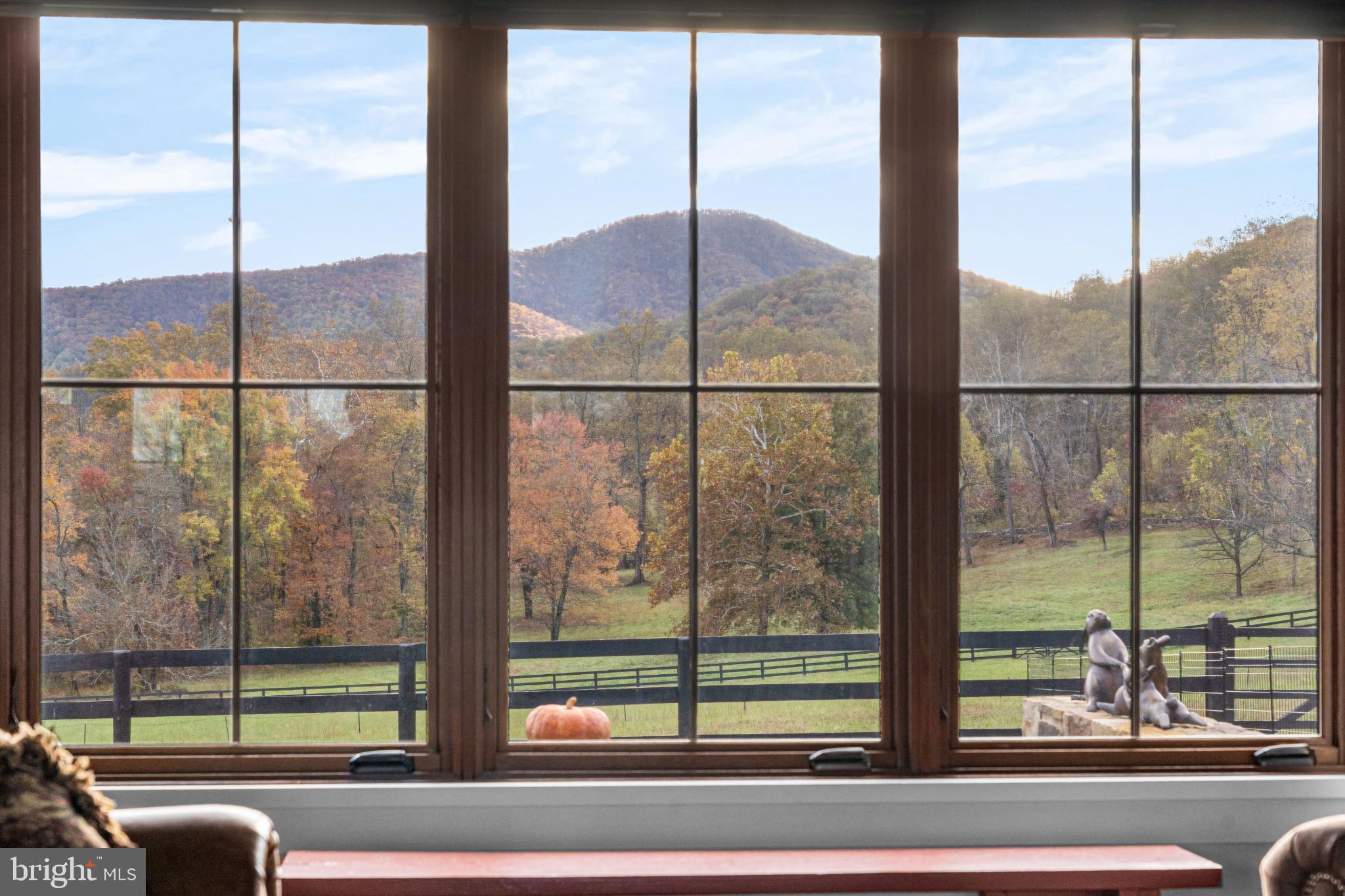 63 Riley Hollow Road Huntly, VA 22640 - Photo 9 of 92 a view of a city from a window