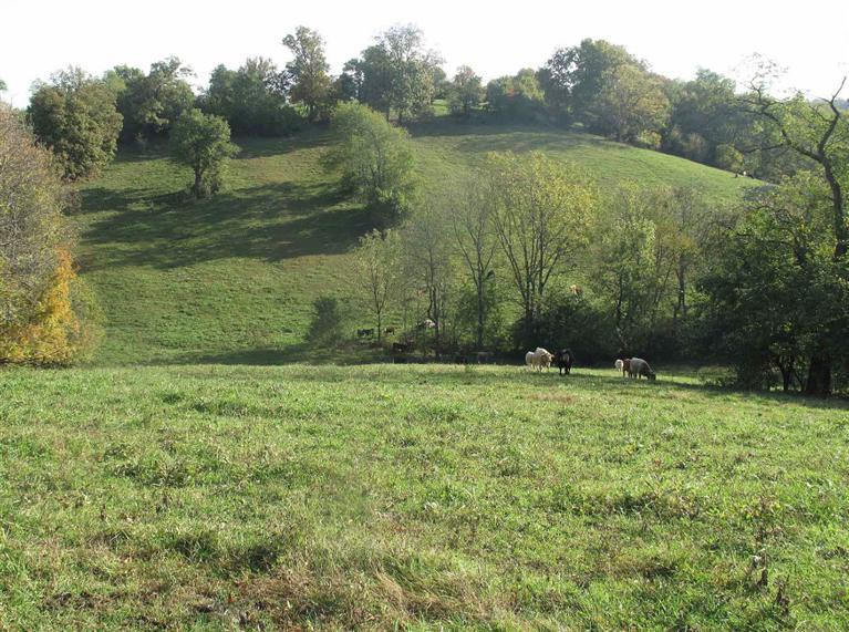 5839 Irvine Road Winchester, KY 40391 - Photo 25 of 25 Photo 25