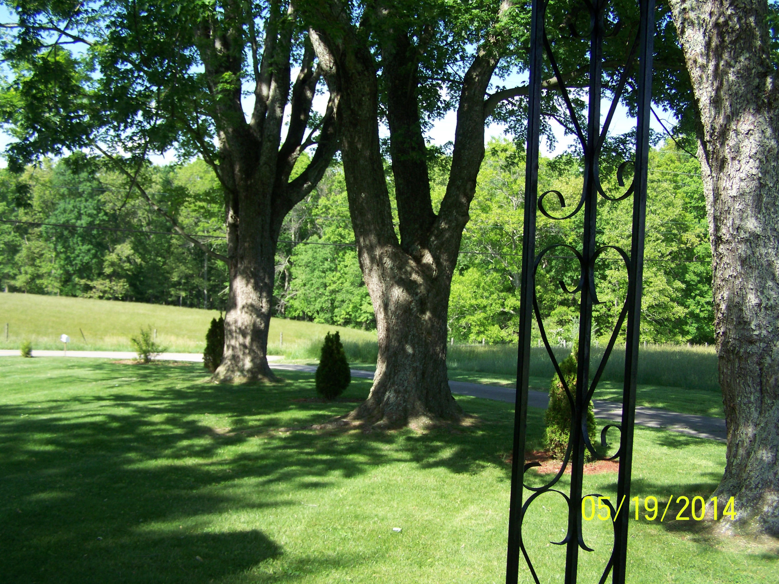 1238 Pigeon Ridge Road Crossville, TN 38572 - Photo 18 of 29 100_3677