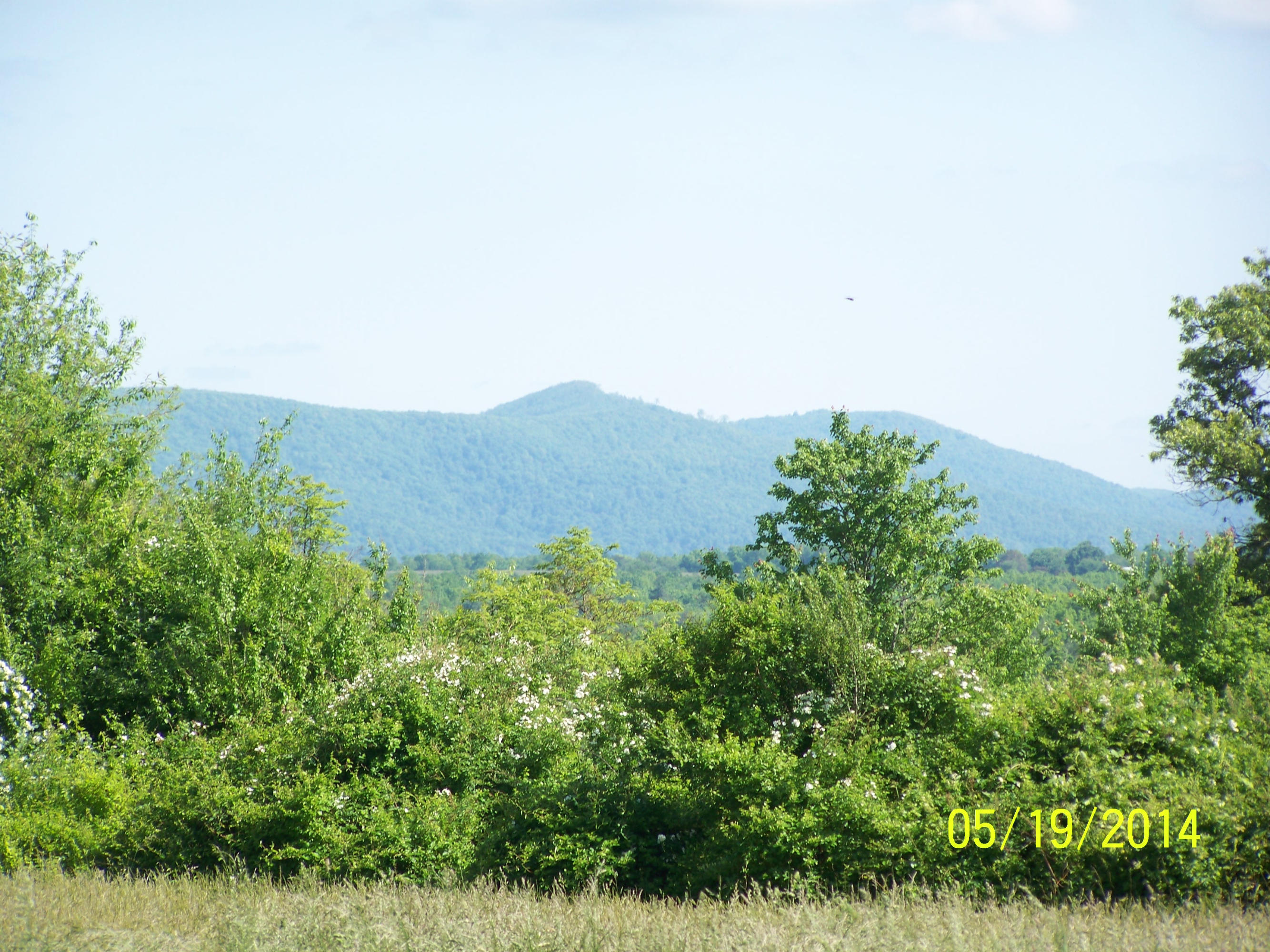 1238 Pigeon Ridge Road Crossville, TN 38572 - Photo 3 of 29 100_3676