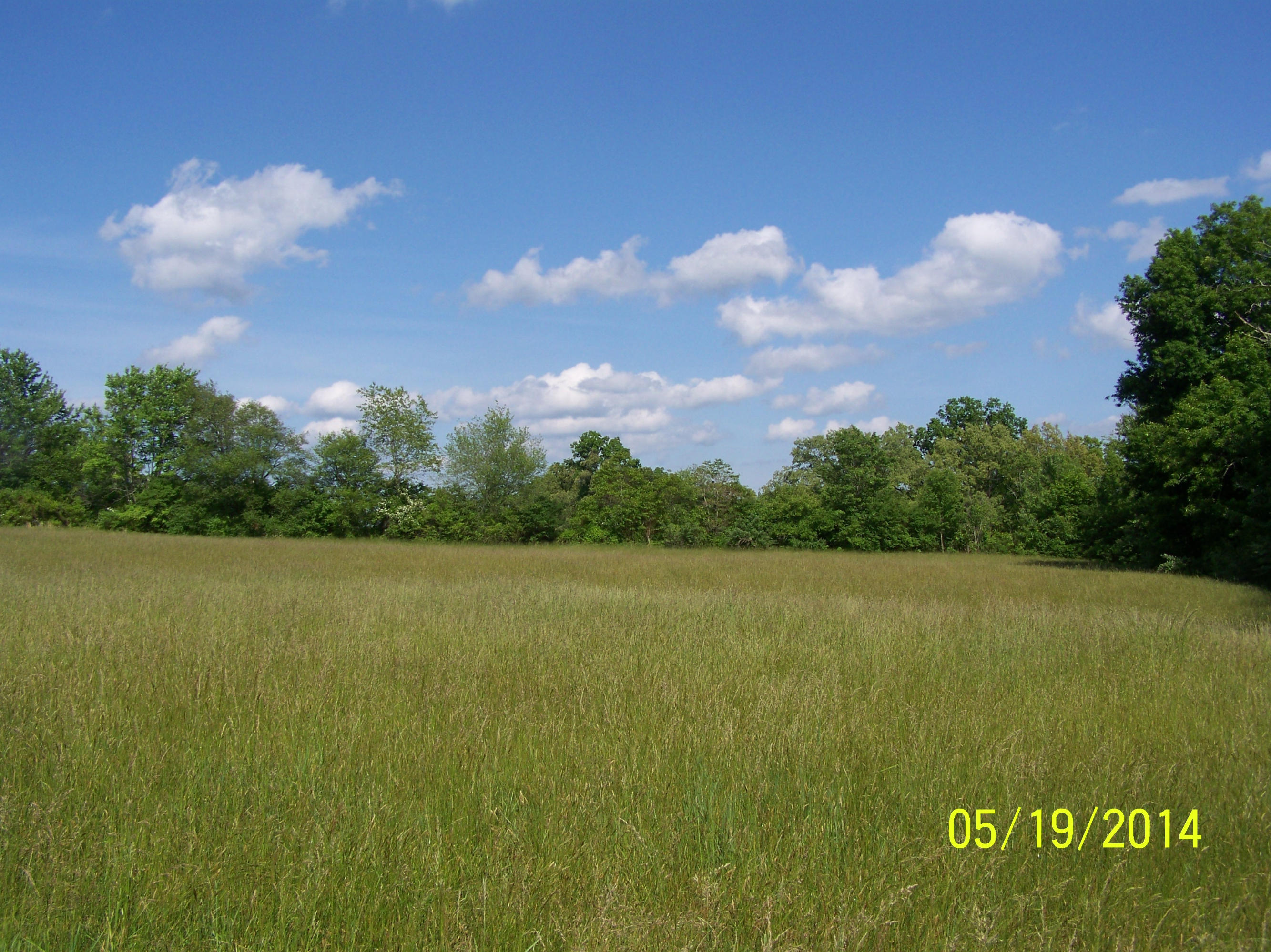 1238 Pigeon Ridge Road Crossville, TN 38572 - Photo 28 of 29 100_3701