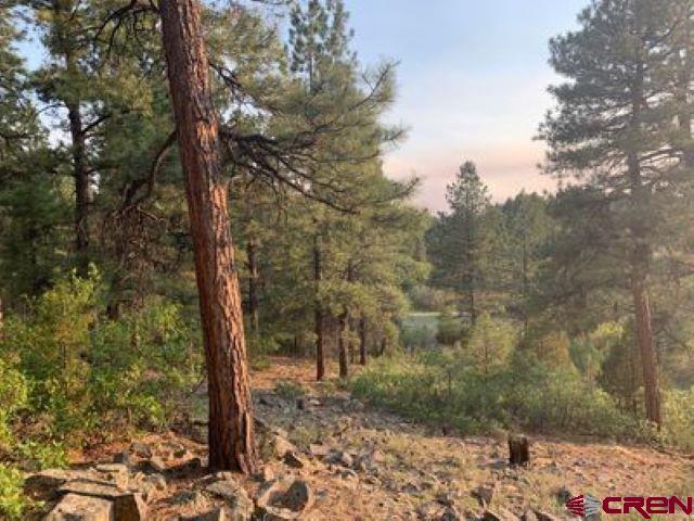 199 Meadow Lane Ridgway, CO 81432 - Photo 11 of 25