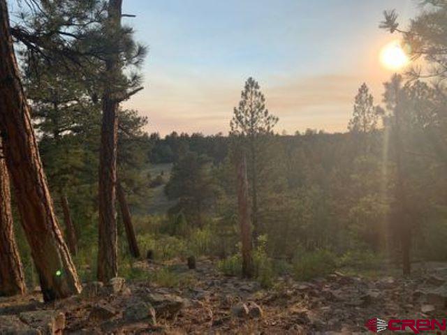 199 Meadow Lane Ridgway, CO 81432 - Photo 12 of 25