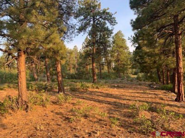 199 Meadow Lane Ridgway, CO 81432 - Photo 13 of 25